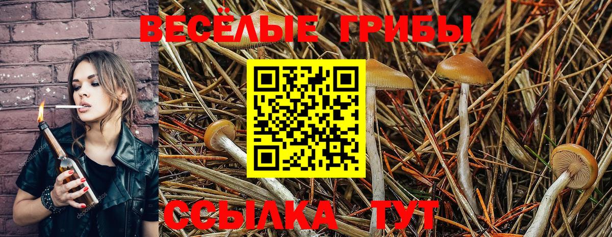 Галлюциногенные грибы прущие грибы  Галлюциногенные грибы ЛСД  Вход с VPN  купить наркоту  Отрадное 