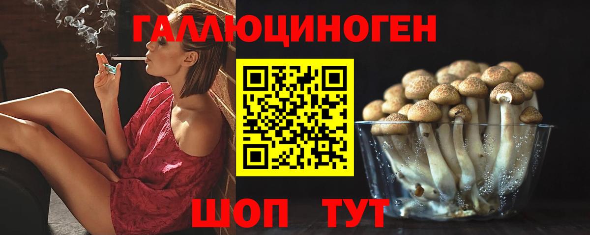 Галлюциногенные грибы Psilocybe Отрадное
